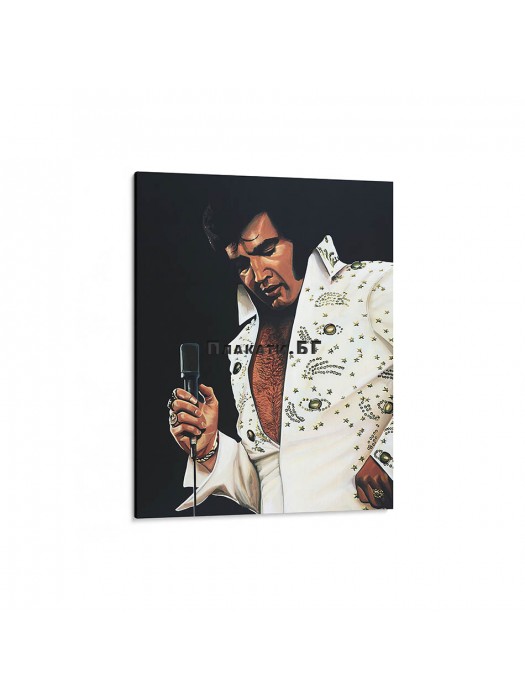 Elvis Presley - pictură