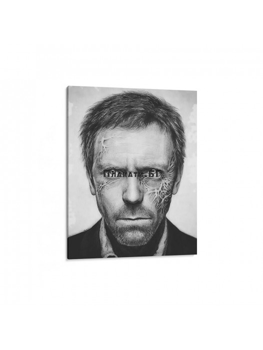House M.D. - pictură