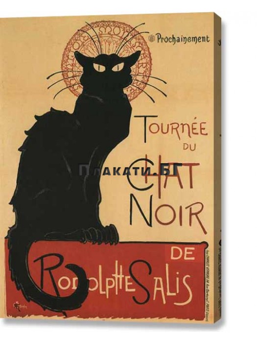 Chat Noir (canvas print)