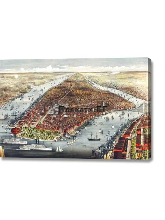 Карта на Ню Йорк - 1876 (пано от канава)