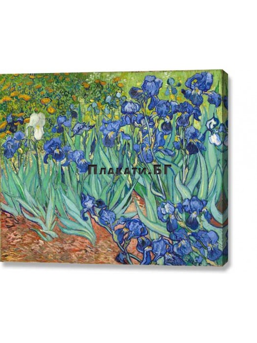 Van Gogh - Irises (canvas print)