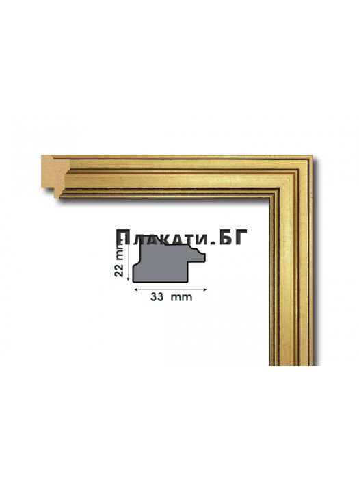 Custom size painting/poster frame - “Gold”