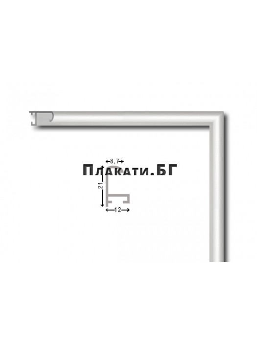 Custom size painting/poster frame - “Light Aluminium”
