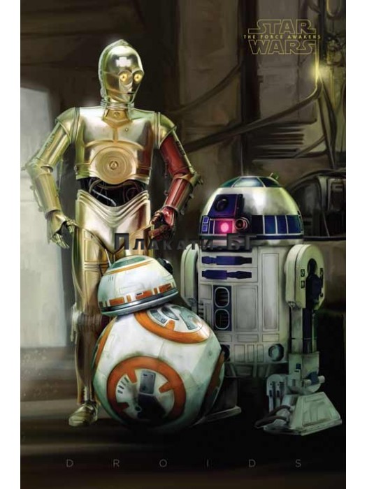 Star Wars - Droids (61x91,5cm) - movie poster