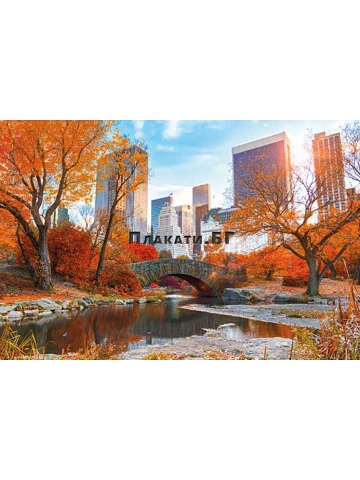 Ню Йорк - есен в  Central Park  плакат (постер)