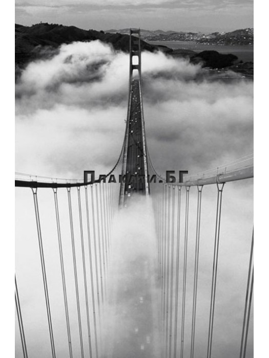 San Francisco - Golden Gate Bridge (Foggy Morning) - Black & White Poster