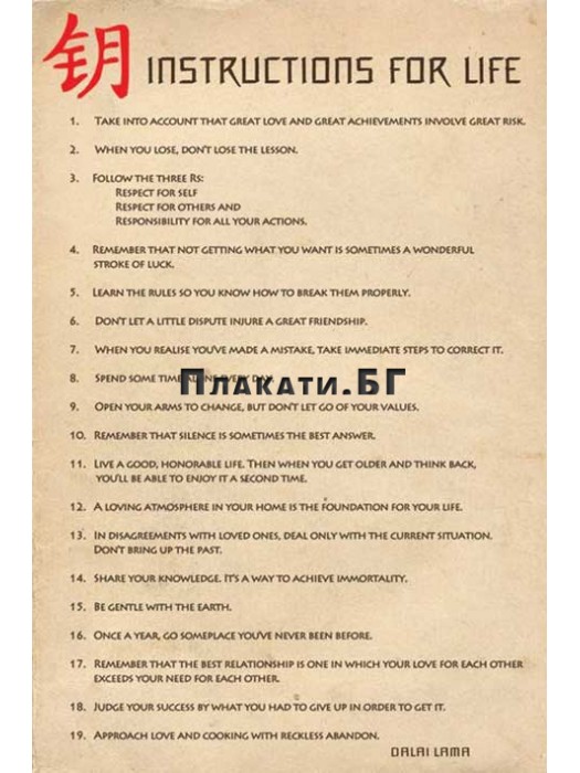 Dalai Lama - Instructions for Life poster 61x91,5 cm