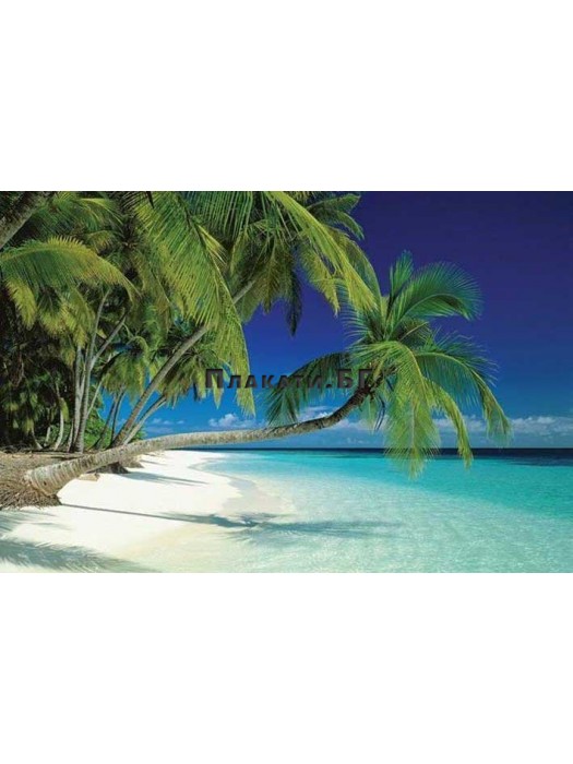 Maldives Beach - poster 61x91,5 cm