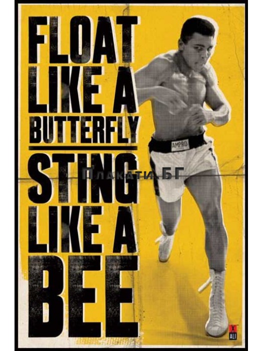 Мохамед Али (Float Like a Butterfly) - плакат (постер) 61х91,5 см