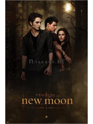 Twilight - New Moon