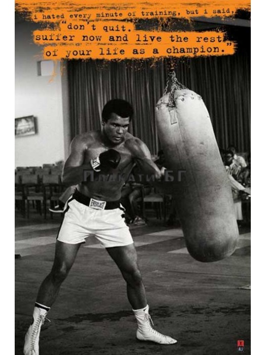 Muhammad Ali (Punchbag) - poster 61x91,5cm