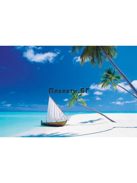 Paradise Found - poster 61x91,5 cm