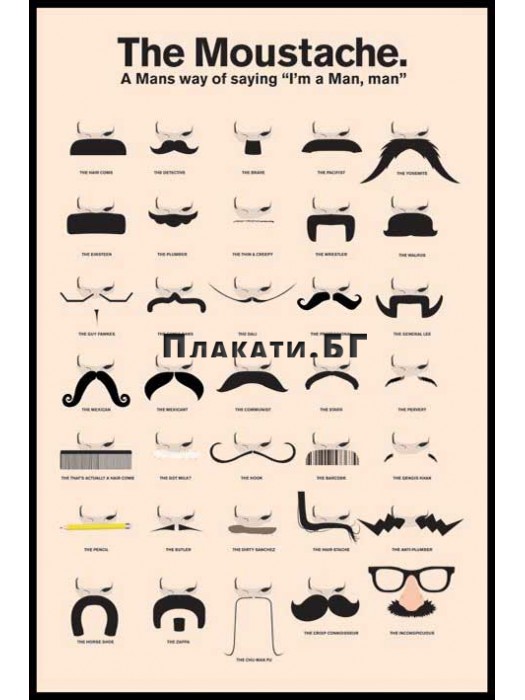 The Moustache - poster 61x91,5 cm