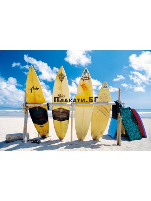 Sun, Sea & Surf poster