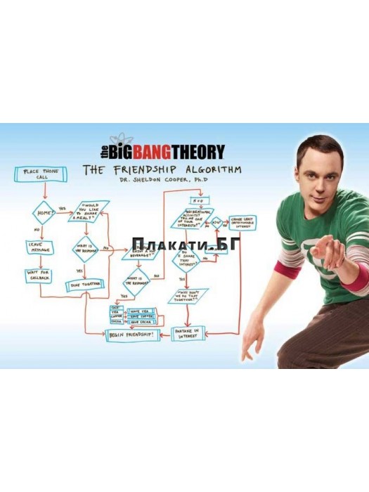 The Big Bang Theory (Friendship Algorithm) - плакат/постер/ 61х91,5 см