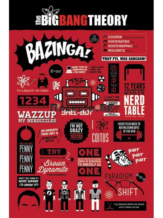 The Big Bang Theory (инфографика) - плакат/постер/ 61х91,5 см
