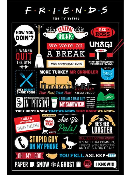Friends (infographic) - poster 61x91,5 cm