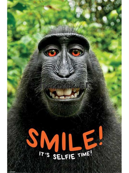 Smile! It's Selfie Time (Monkey) - funny poster 61x91,5 cm