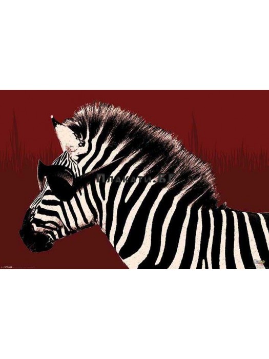 Troy The Zebra (It's A Wildlife) - advertising poster 61x91,5 cm