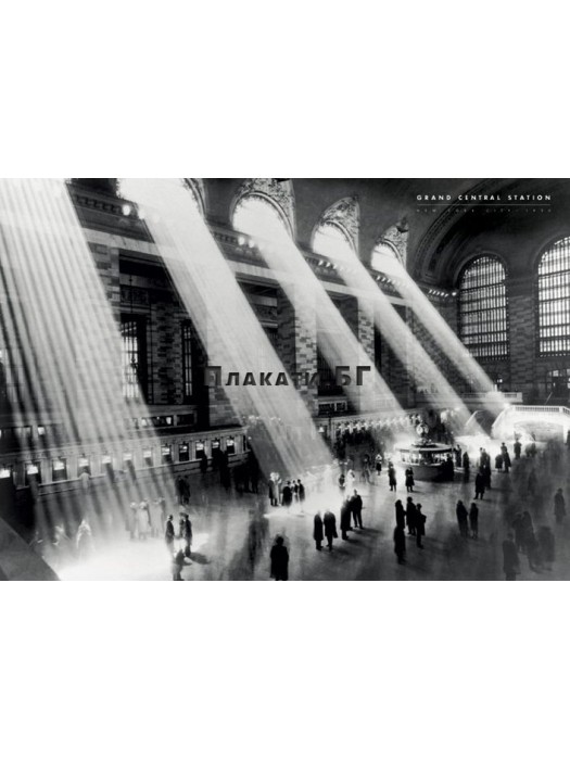 Ню Йорк - Grand Central Station плакат (постер) черно-бял