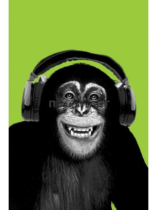 Chimpanzee Headphones poster