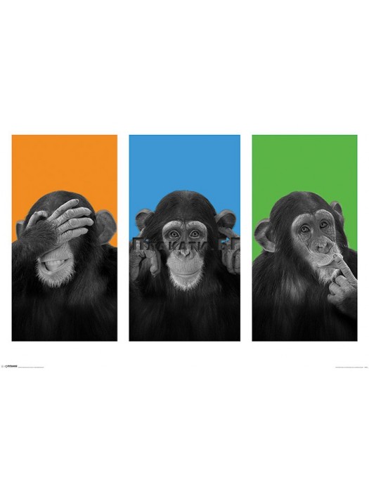 Wildside (See No Evil, Hear No Evil, Speak No Evil) poster