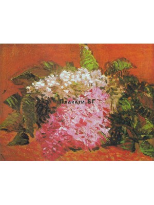 Vincent van Gogh - Lilacs - 40х50см