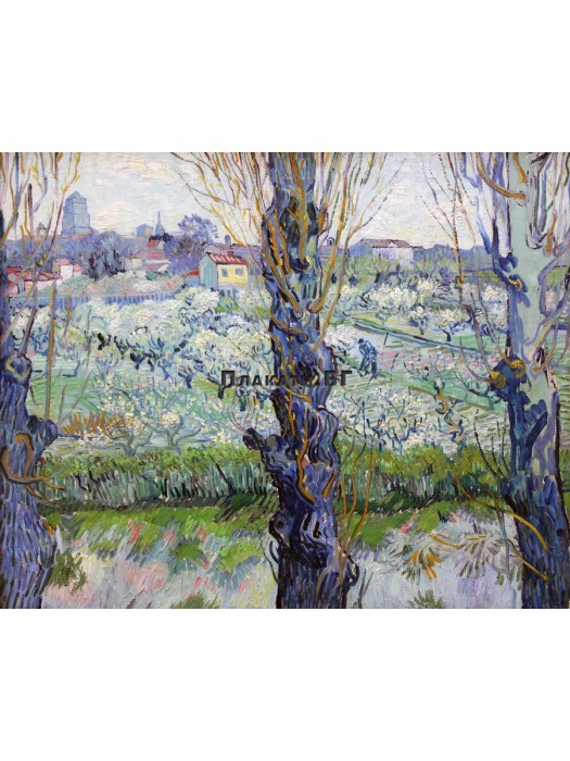 Vincent van Gogh - View of Arles - art poster 40х50см