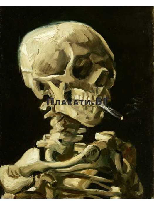 Vincent van Gogh - Skeleton with a burning cigarette - art poster 40х50см