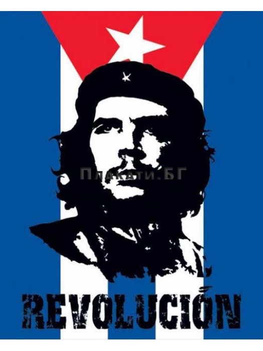 Che Guevara - Revolucion poster