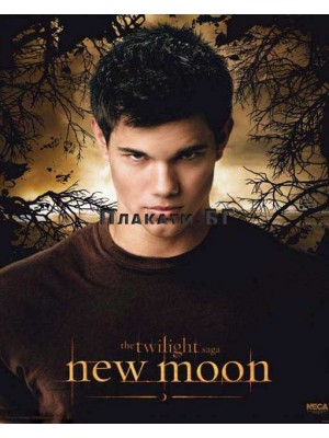Twilight New Moon - Jacob