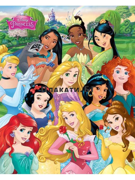 Disney Princesses poster