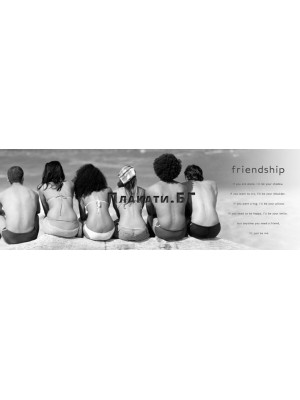 FRIENDSHIP (slim)